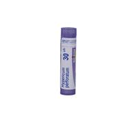 Boiron Boiron Hypericum Perforatum 30CH - Farmaco Omeopatico 4 gr Granuli Multidose