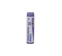 CALCAREA CARB OST 30CH GR