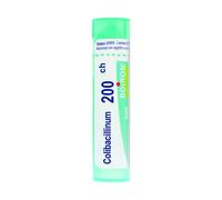 Colibacillinum 200 Ch Tubo 2020