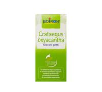 Boiron - Crataegus Oxyacantha Confezione 60 Ml (Scadenza Prodotto 28/12/2026)