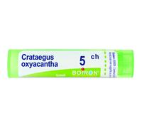 Boiron Crataegus Oxyacantha Granuli 05Ch Tubo 4g