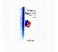 BOIRON crataegus tintura madre 60 ml - prodotto omeopatico a base di biancospino