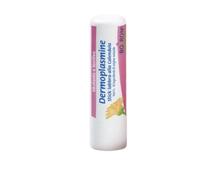 BOIRON DERMOPLASMINE Stick labbra alla Calendula