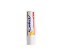 Boiron Dermoplasmine Stick labbra Idratante e lenitivo 4g - Balsamo labbra