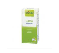 Boiron Estratti di Piante Ribes Nero Gemme 60ml - Estratto erboristico