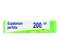 Boiron Eupatorium Perfoliatum Globuli 200Ch Dose 1g