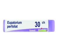 EUPATORIUM PERFOLIATUM 30CH GLOBULI MONODOSE BOIRON