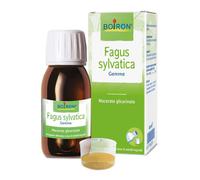 Boiron FAGUS SYLVATICA BOIRON MACERATO GLICERICO 60 ML
