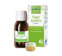 Boiron Fagus Sylvatica Gemme Macerato Glicerico, 60ml