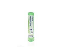 FERRUM PHOSPHOR*5CH 80GR4G BO