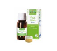 Boiron Ficus Carica Gemme Macerato Glicerinato, 60ml