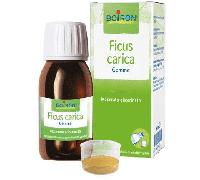 FICUS CARICA BOIRON MACERATO GLICERICO 60 ML