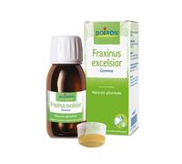 Boiron Fraxinus Excelsior Gemme Macerato Glicerinato 60 Ml