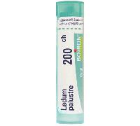Boiron Ledum Palustre 200 CH Globuli Tubo Medicinale Omeopatico