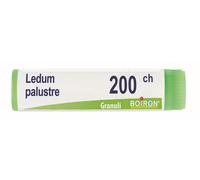 Ledum Palustre 200Ch Globuli
