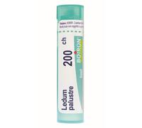 Boiron Ledum Palustre 200CH Medicinale Omeopatico, 80 granuli