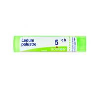 Boiron Ledum Palustre 5CH Granuli Tubo