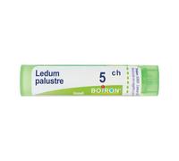 Boiron Ledum Palustre 5ch Rimedio Omeopatico In Contenitore Multidose 80 Granuli
