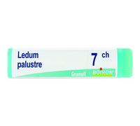 Ledum Palustre 7 Ch Dose 2020