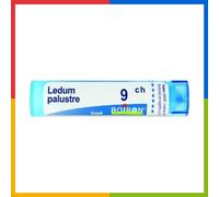 Boiron Ledum Palustre 9 CH Granuli in Tubo Medicinale Omeopatico Unitario