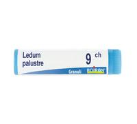 Boiron Ledum Palustre 9CH Globuli Omeopatici Tubo 1g