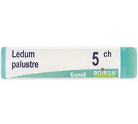 boiron Ledum palustre boi 5ch gl 1g