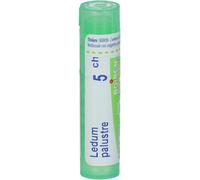 boiron Ledum Palustre Medicinale Omeopatico 5Ch 80 Granuli