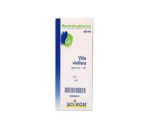BO.VITIS VINIFERA 60ML MG
