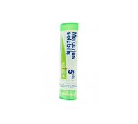 Boiron Mercurius Solub 5 CH Granuli Tubo 4g