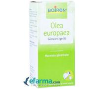 OLEA EUROPAEA BOIRON MACERATO GLICERICO 60 ML