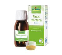 Boiron PINUS MONTANA BOIRON MACERATO GLICERICO 60 ML