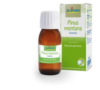 BOIRON® Pinus montana Gemme 60 ml Soluzione orale