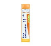 BO.RHUS TOX*15CH 80GR4G
