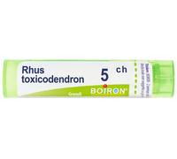 boiron Rhus Toxicodendron 5Ch Granuli Multidose 80gr 4g