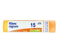 Ribes Nigrum 15 Ch Tubo 2020