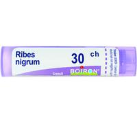 boiron Ribes nigrum 30ch gr bo