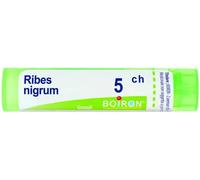 Boiron Ribes Nigrum 5CH Granuli Tubo