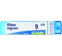 boiron Ribes nigrum 9ch gr