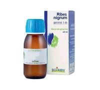 Ribes nigrum gemme 1 dh Macerato Glicerico Flacone da 60 ml