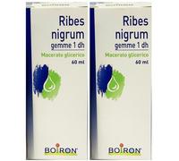 BOIRON® Ribes Nigrum Gemme 1 dh 2x60 ml Estratto