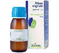 Boiron Ribes Nigrum Gemme 1DH Macerato Glicerico 60 ml