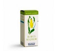 Boiron Ribes Nigrum Gemme 1DH Macerato Glicerico 60 ml