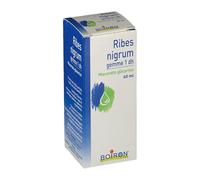 Ribes nigrum gemme 1 dh Macerato Glicerico Flacone da 60 ml