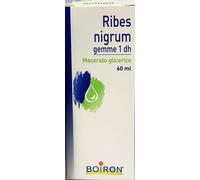 boiron Ribes nigrum gemme 60ml mg bo