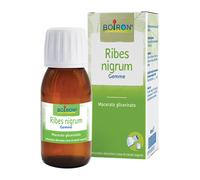 Boiron RIBES NIGRUM MACERATO GLICERICO 60 ML INT
