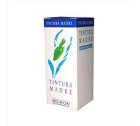 RIBES NIGRUM 60ML TM