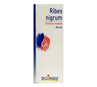 Boiron Ribes Nigrum Tintura Madre 60 ml
