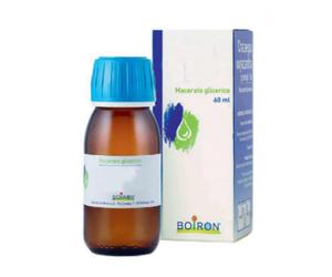 Boiron Rosmarinus Officinalis Macerato Glicerico 60 ml