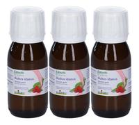 BOIRON® Rubus Idaeus Giovani Getti 3x60 ml Soluzione orale