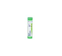 Boiron Sepia Officinali 5 Ch Rimedio Omeopatico, 80 Granuli